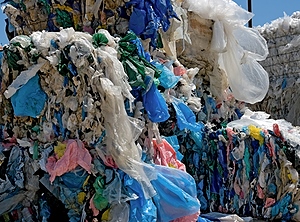 Mehr Abfall, mehr Verwertung: Die Recyclingquote lag im Jahr 2020 bei 60,5 Prozent (Foto: Huguette Roe/iStockPhoto)