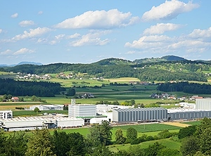 Stammwerk in Slowenien (Foto: Trimo)