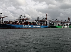 In Rotterdam ist er schon mal, doch nach Hamburg greift er: der chinesische Staatskonzern Cosco (Foto: KI)