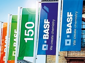 United Colors of BASF? Im Vorstand des Chemieriesen scheint es zu gären (Fotos (3): BASF)
