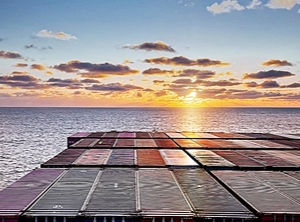 Hinterm Horizont geht’s weiter: auch für die Containerbranche? (Foto: Hapag-Lloyd)