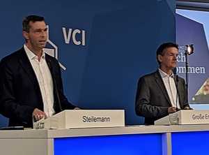 Die zwei vom VCI: Präsident Markus Steilemann und Hauptgeschäftsführer Wolfgang Große Entrup (Foto: KI)