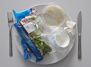 So bald nicht mehr? Polens Verbraucher lehnen Kunststoffverpackungen für Lebensmittel mehrheitlich ab (Foto: KI)