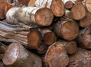 Tallöl ist ein Nebenprodukt der Zellstoffherstellung aus Holz (Foto: Wikimedia/Magnus Manske)
