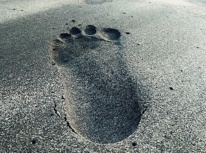 Fußabdruck mit weniger CO2: Albis setzt verstärkt auf Nachhaltigkeit (Foto: Pexels, Akshaya Premjith)