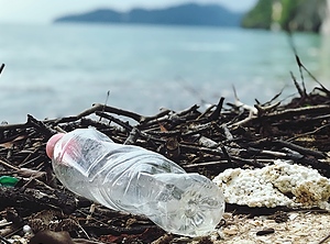 Leere Flaschen am Seeufer will niemand mehr sehen. Die Mehrheit der Befragten votet pro Recycling (Foto: Pexels / Catherine Sheila)