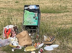 Sommer, Sonne, Picknick, Müll: Jetzt steht fest, wer's am Ende bezahlt (Foto: KI)