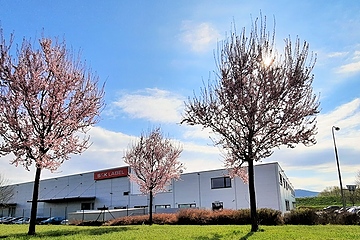 Frühlingsidylle: Produktionswerk im tschechischen Kurim (Foto: S&K)