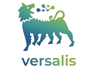 Die hohen Energiekosten machen Versalis schwer zu schaffen (Abb: Versalis)