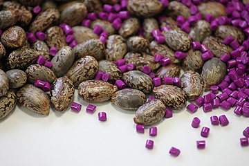 Die ,,Vestamid Terra“-Typen werden auf Basis von Samen des Rizinusstrauchs erzeugt (Foto: Evonik)