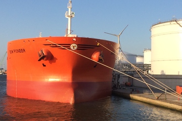 Angebunden: Im Hafen Antwerpen-Brügge ging wegen des zweitägigen Streiks kaum etwas (Foto: KI)