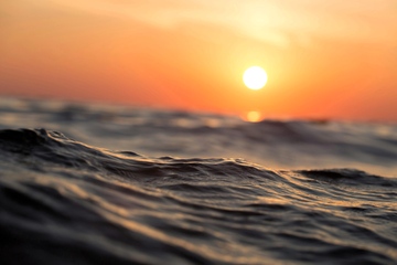 Ob Wasserspiegel oder Frachtraten: Es geht immer hoch und runter (Foto: Pexels, Sebastian Voortmann)