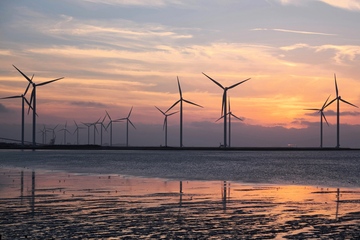 Zur weiteren Verwertung? Rotorblätter von Windrädern können nur schwer recycelt werden (Foto: Pexels, Pixabay)