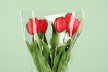 Gehören zum Produktportfolio des Unternehmens: Verpackungen für Zierpflanzen (Foto: Paardekooper)