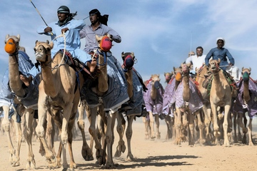 Kamelrennen sind wie M&A-Prozesse: Es kommt auf das richtige Tempo, Geschicklichkeit beim Lenken und Geduld beim Vorantreiben an (Foto: Pexels, Miguel Cuenca)