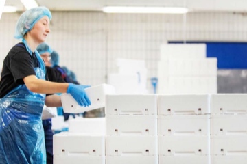 Im Berichtzeitraum gut gefragt: Fischboxen des norwegischen EPS-Spezialisten (Foto: Bewi)