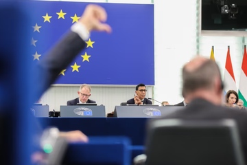 Daumen runter: Das EU-Parlament hat dem Freihandelsabkommen Mercosur seine Zustimmung verweigert (Foto: EU-Parlament)