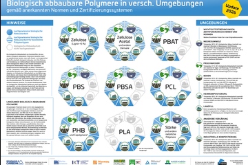 Sorgt für Übersicht: das aktualisierte Poster zu Biopolymeren (Foto: nova-Institut)