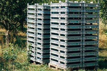 Mehrwegkisten aus Kunststoff: Die Muster-Konformitätserklärung soll die Umsetzung der PPWR-Anforderungen erleichtern (Foto: Pexels/Markus Winkler)