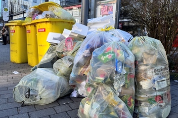 Gelbe Säcke: Es gibt wenig Veränderungen bei den Marktanteilen der dualen Systeme in Deutschland (Foto: KI)