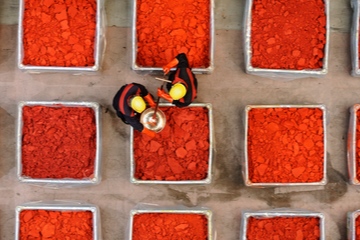 Rote Zahlen oder rosige Zukunft? Produktion von anorganischen Pigmenten (Foto: Lanxess)