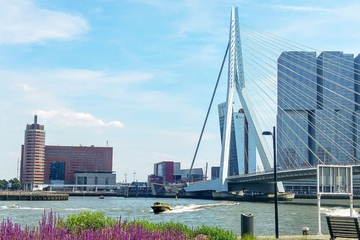 Rotterdam: Hier befindet sich die Zentrale des Großhändlers für Spezialchemikalien (Foto: IMCD)