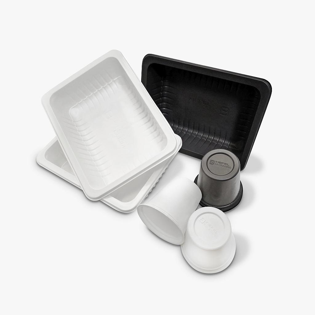 Kiefel: Neue Recycling-Optionen für bedruckte PP-Folien