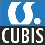 Cubis Solutions GmbH – Anbieter von IT-Services