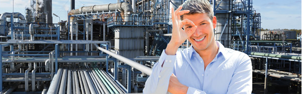 Polyglobe.net - Worldwide polymer producers, plants, capacities 